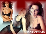 Download Shania Twain / Celebrities Female