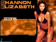 Download Shannon Elizabeth / Celebrities Female