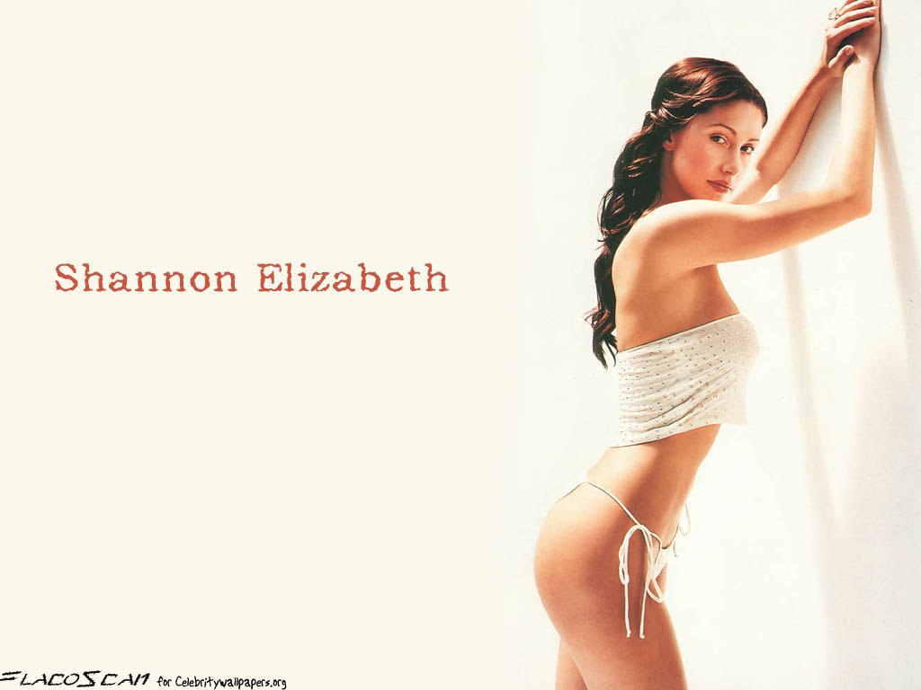 Download Shannon Elizabeth / Celebrities Female wallpaper / 1024x768