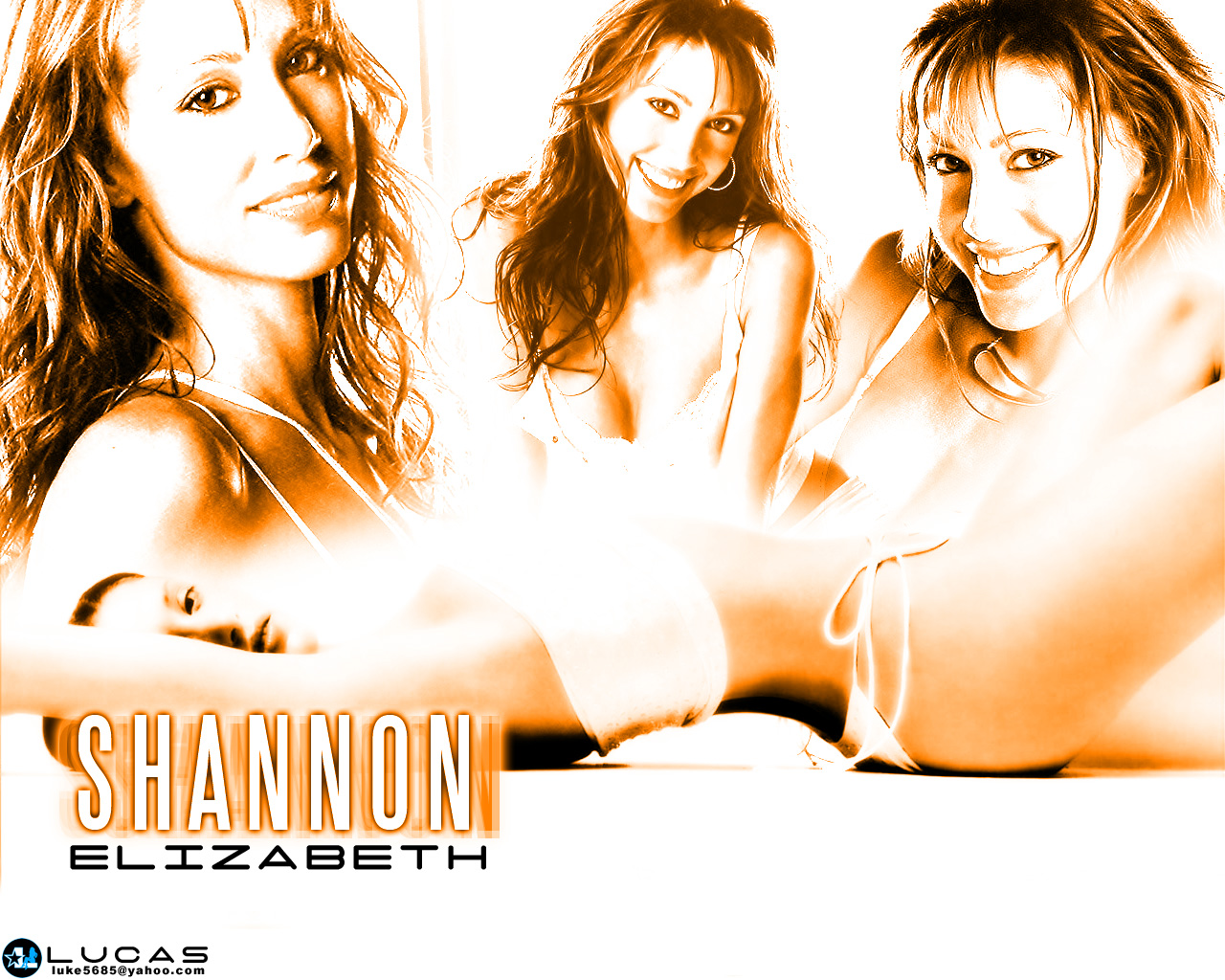 Download High quality Shannon Elizabeth wallpaper / Celebrities Female / 1280x1024