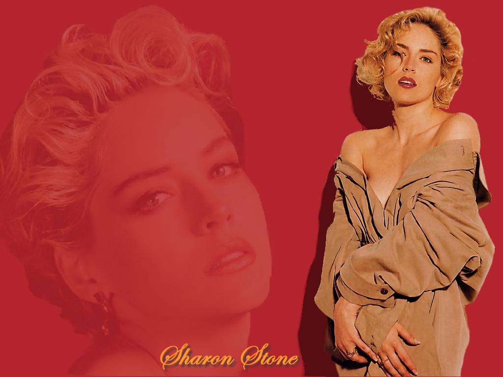 Full size Sharon Stone wallpaper / Celebrities Female / 1024x768