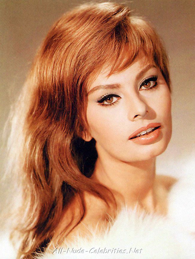 Full size Sophia Loren wallpaper / Celebrities Female / 650x860