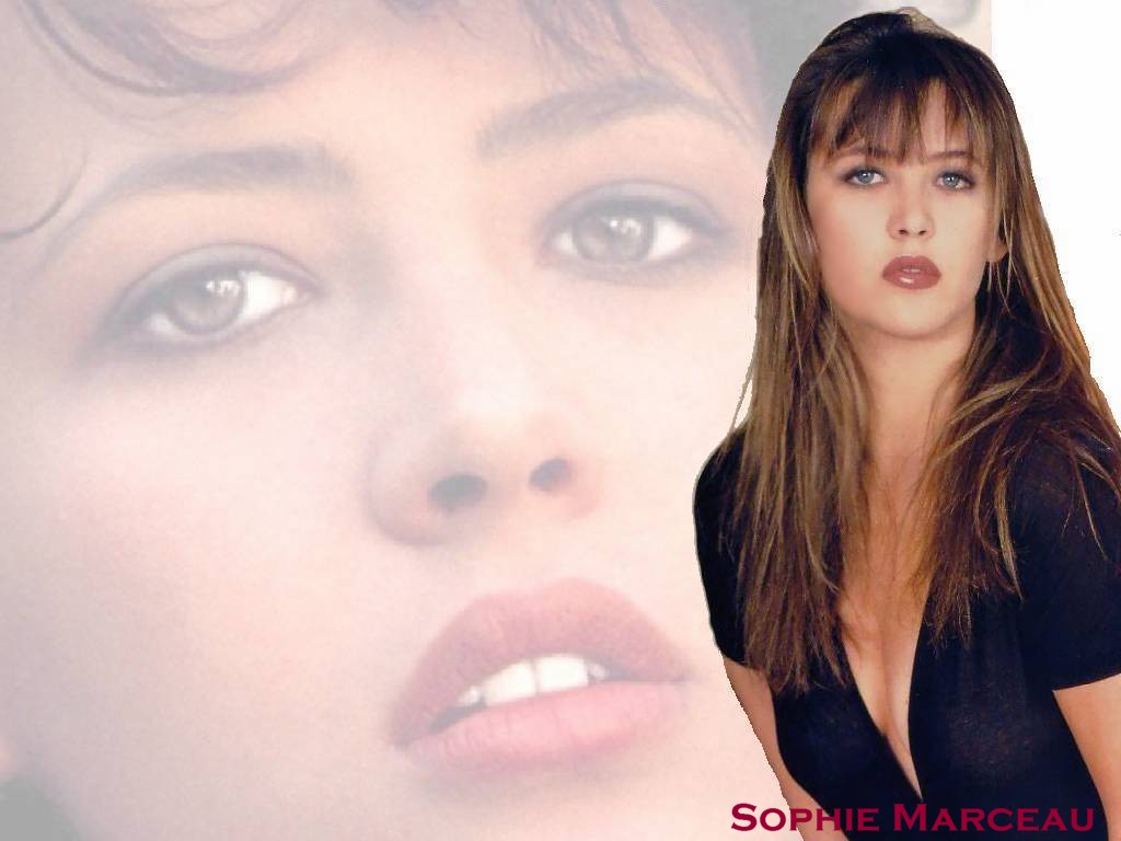 Download Sophie Marceau / Celebrities Female wallpaper / 1024x768