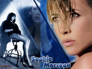 Download Sophie Marceau / Celebrities Female