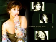 Sophie Marceau / Celebrities Female