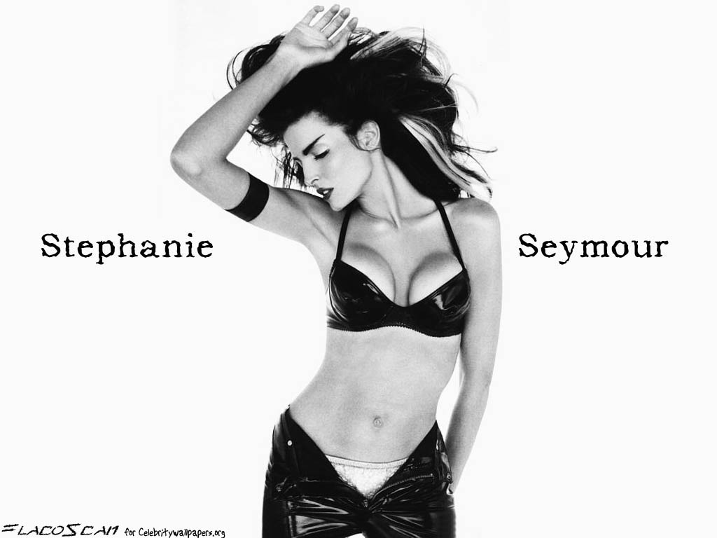 Full size Stephanie Seymour wallpaper / Celebrities Female / 1024x768