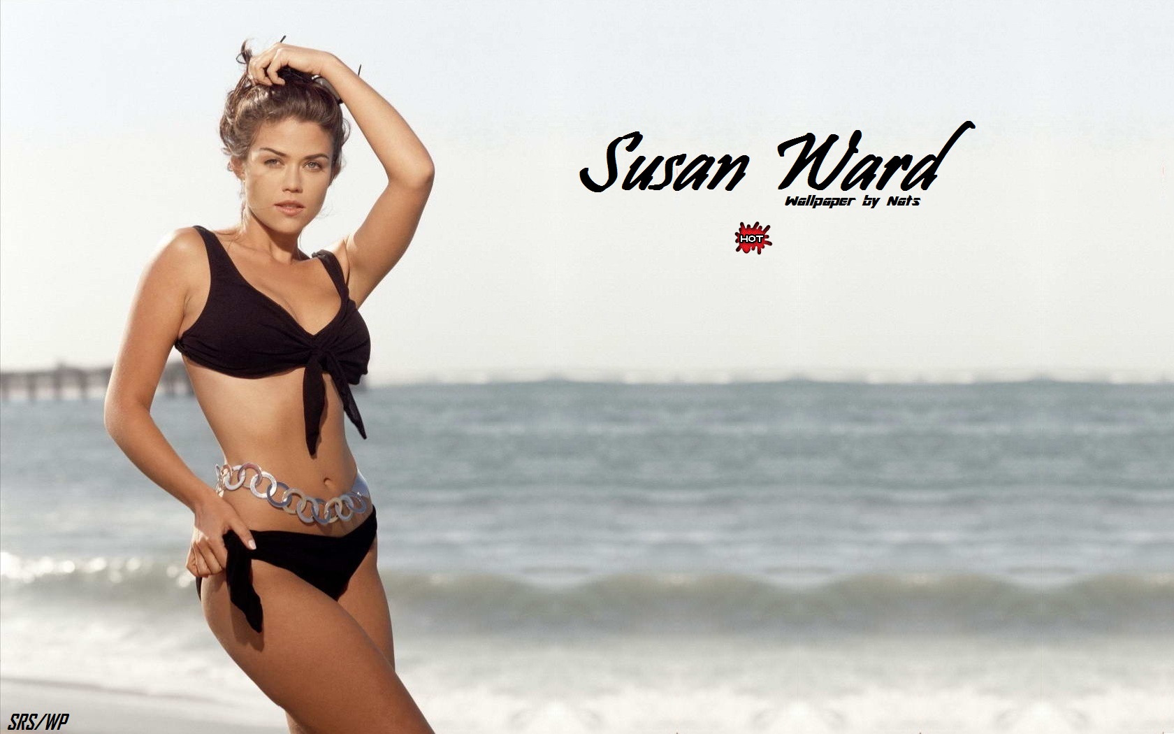Download High quality Susan Ward wallpaper / Celebrities Female / 1680x1050