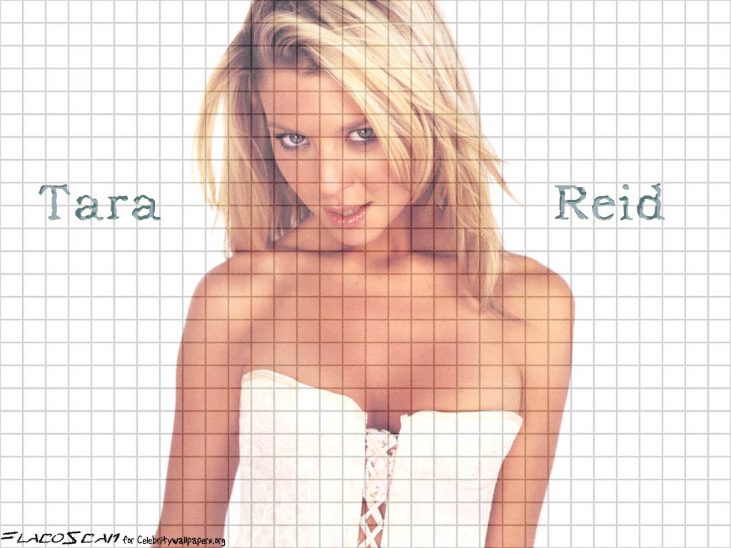 Full size Tara Reid wallpaper / Celebrities Female / 1024x768