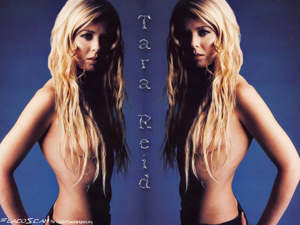 Download Tara Reid / Celebrities Female wallpaper / 1024x768
