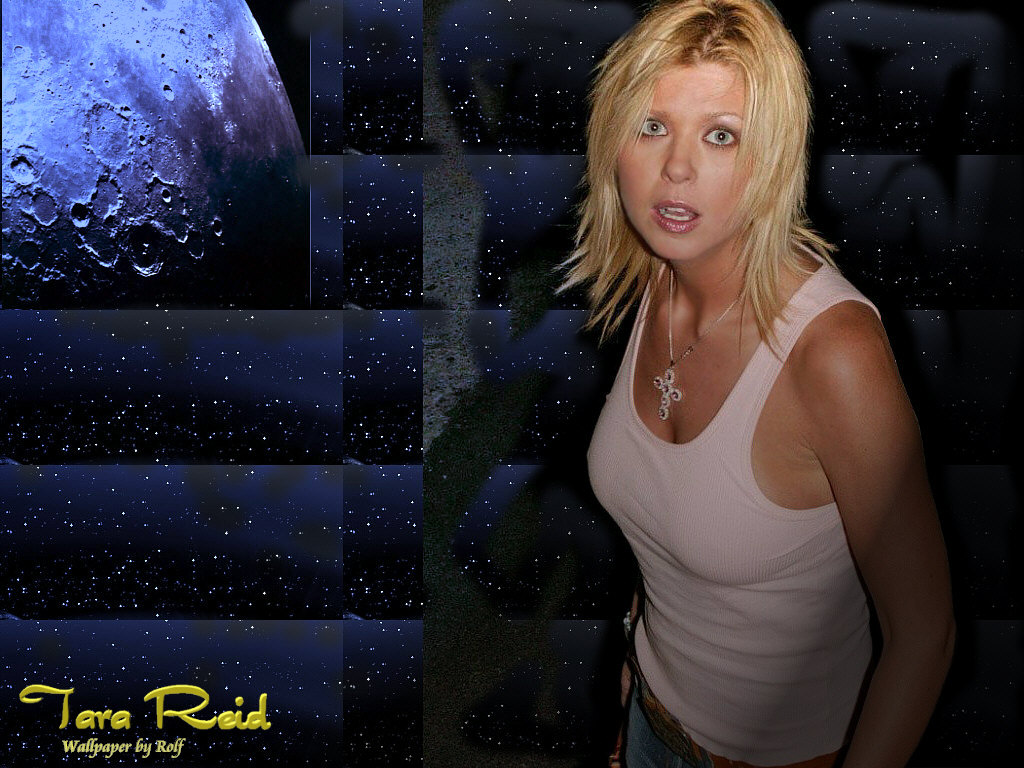 Download Tara Reid / Celebrities Female wallpaper / 1024x768