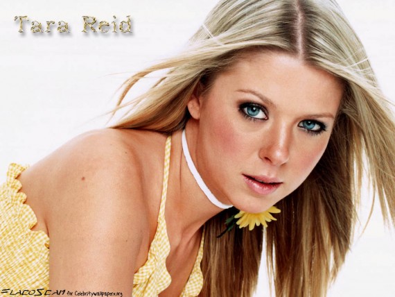 Free Send to Mobile Phone Tara Reid Celebrities Female wallpaper num.8