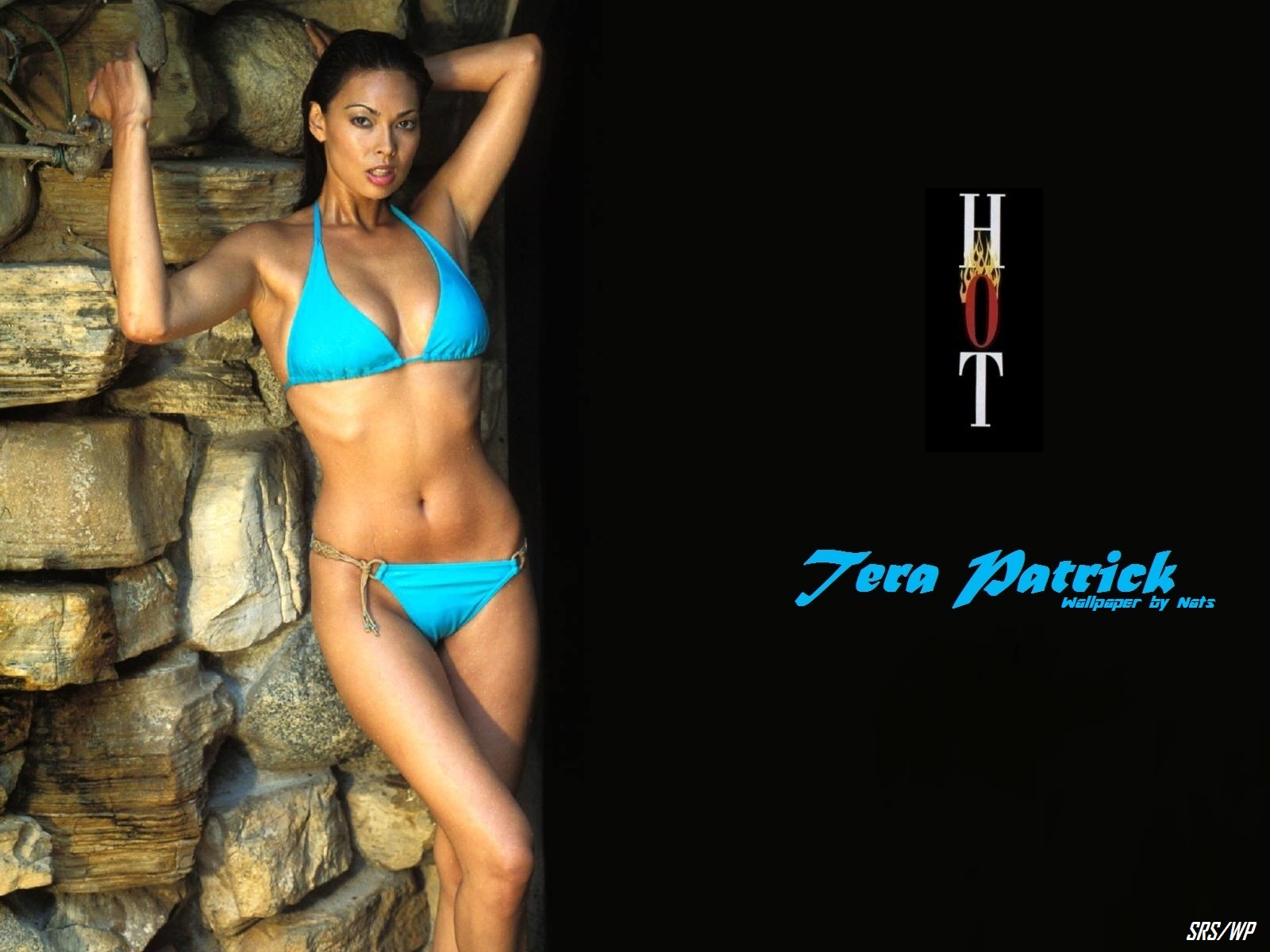 Download HQ Tera Patrick wallpaper / Celebrities Female / 1600x1200