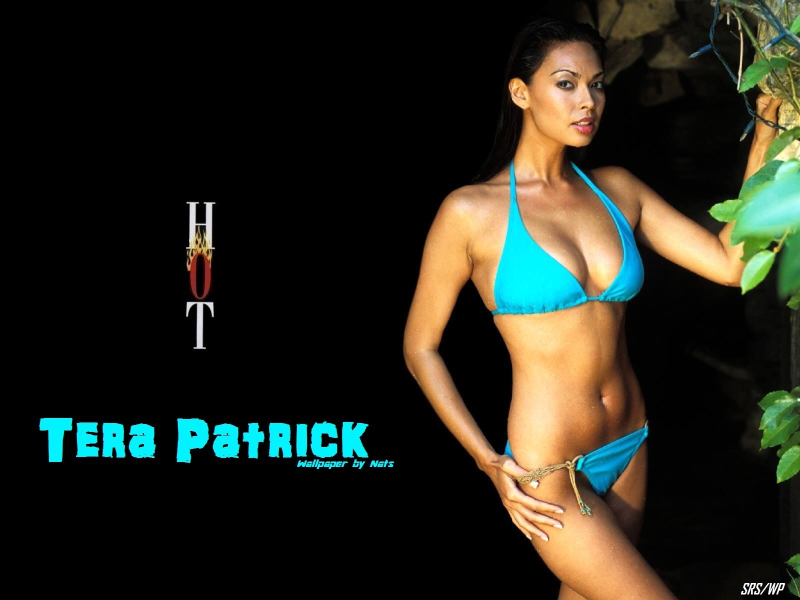 Download full size Tera Patrick wallpaper / Celebrities Female / 1600x1200