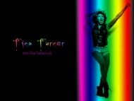 Tina Turner / Celebrities Female