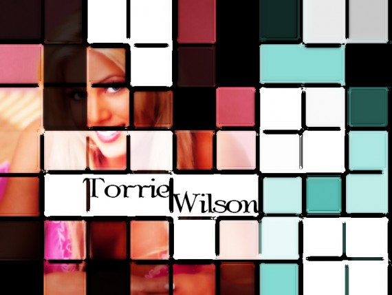 Free Send to Mobile Phone Torrie Wilson Celebrities Female wallpaper num.7