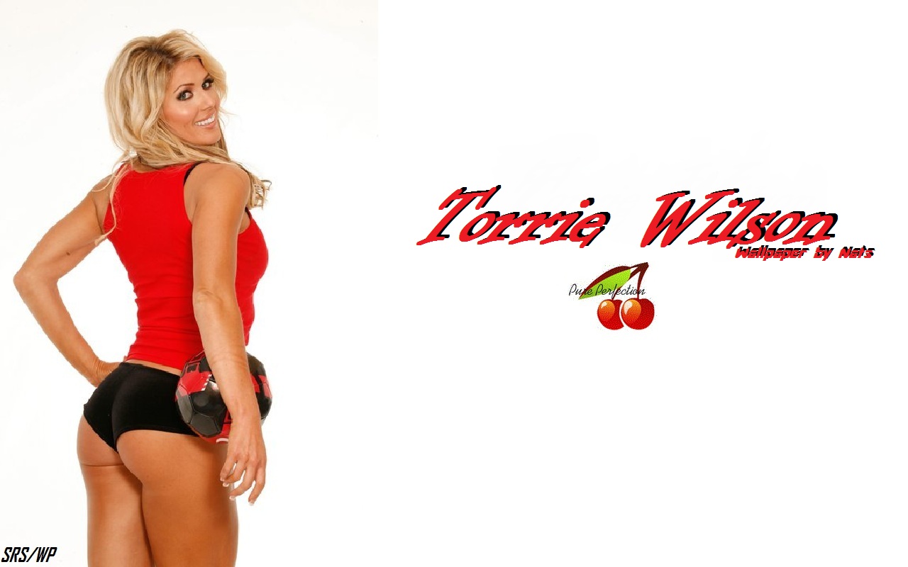 Download HQ Torrie Wilson wallpaper / Celebrities Female / 1280x800