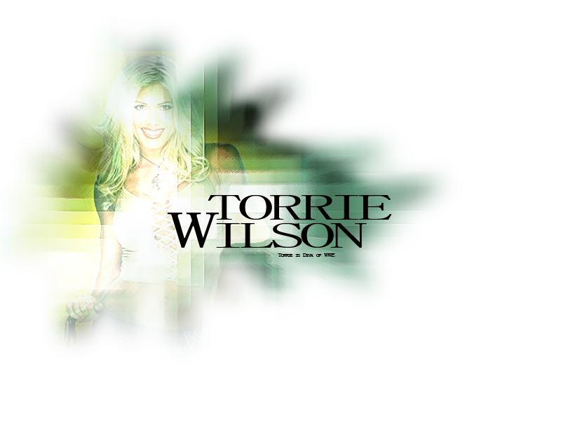Full size Torrie Wilson wallpaper / Celebrities Female / 800x600