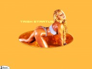 Download Trish Stratus / Celebrities Female