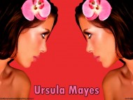 Ursula Mayes / Celebrities Female