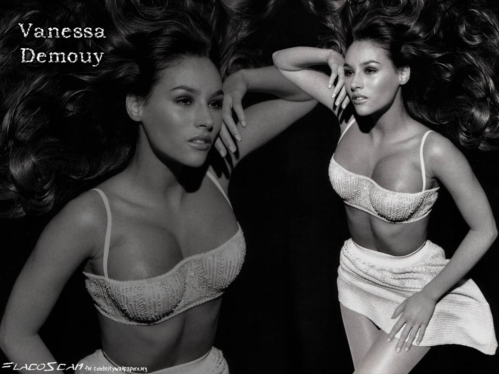 Download Vanessa Demouy / Celebrities Female wallpaper / 1024x768