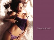 Download Vanessa Marcil / Celebrities Female