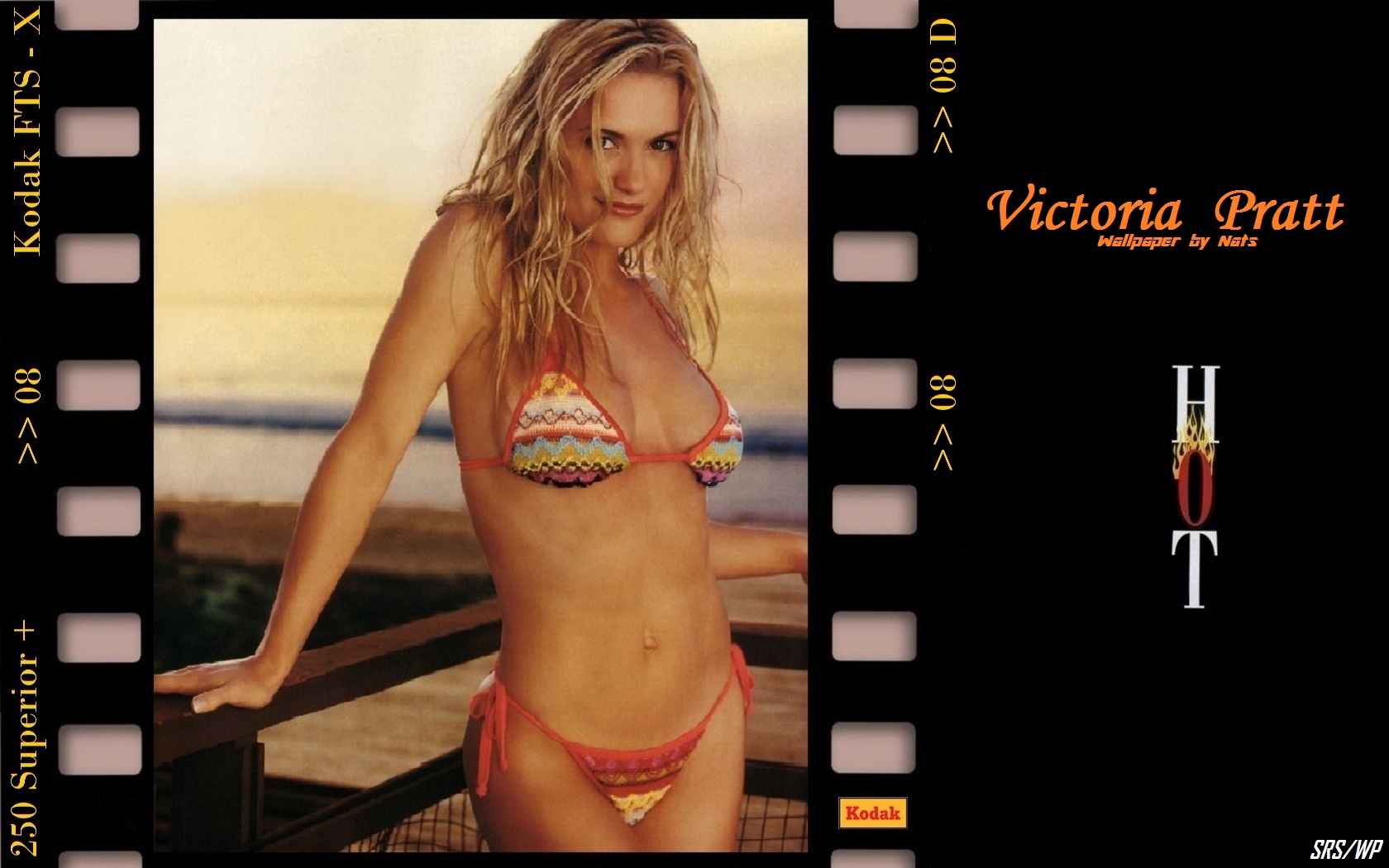 Download High quality Victoria Pratt wallpaper / Celebrities Female / 1680x1050