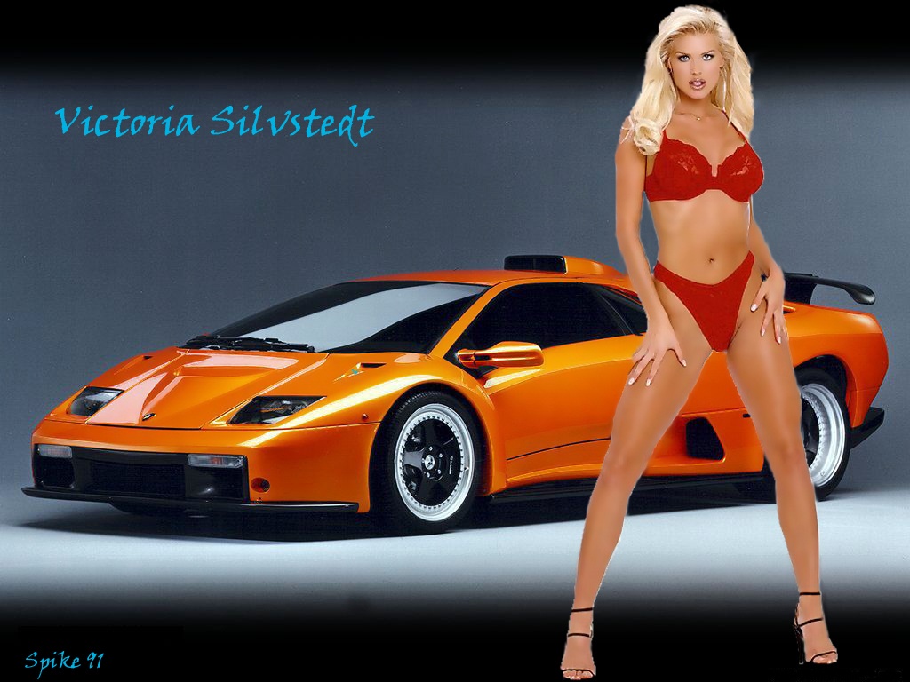 Full size Victoria Silvstedt wallpaper / Celebrities Female / 1024x768