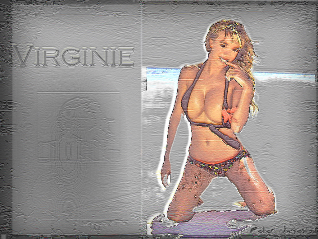 Download Virginie / Celebrities Female wallpaper / 1024x768