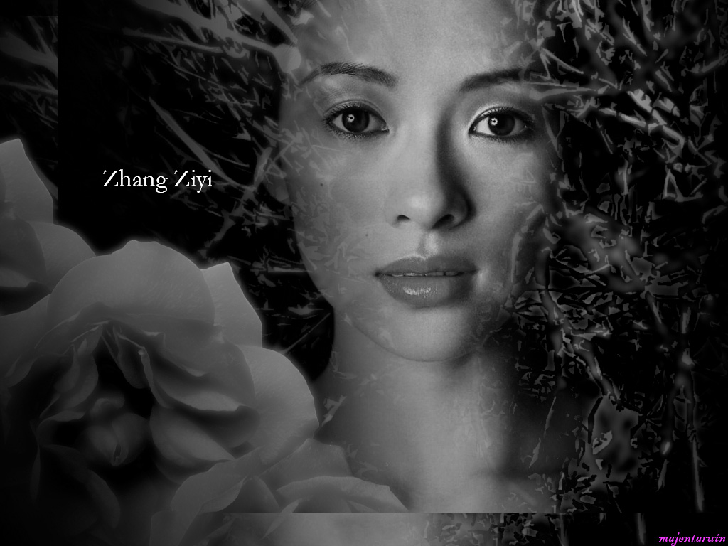 Full size Zhang Ziyi wallpaper / Celebrities Female / 1024x768