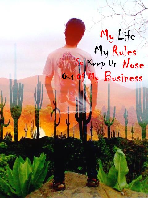 Free Download full size My Life My Rules Ammy Wallpaper Num. 9 : 480 x 640   Kb