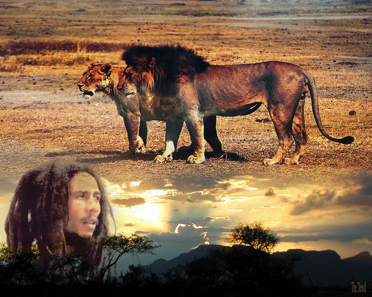 Download full size Bob Marley wallpaper / Celebrities Male / 1280x1024
