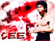 Bruce Lee / Celebrities Male