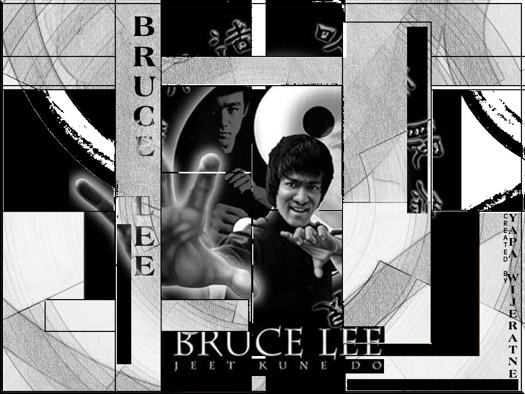 Download Greyscale Bruce Lee wallpaper / 1024x768