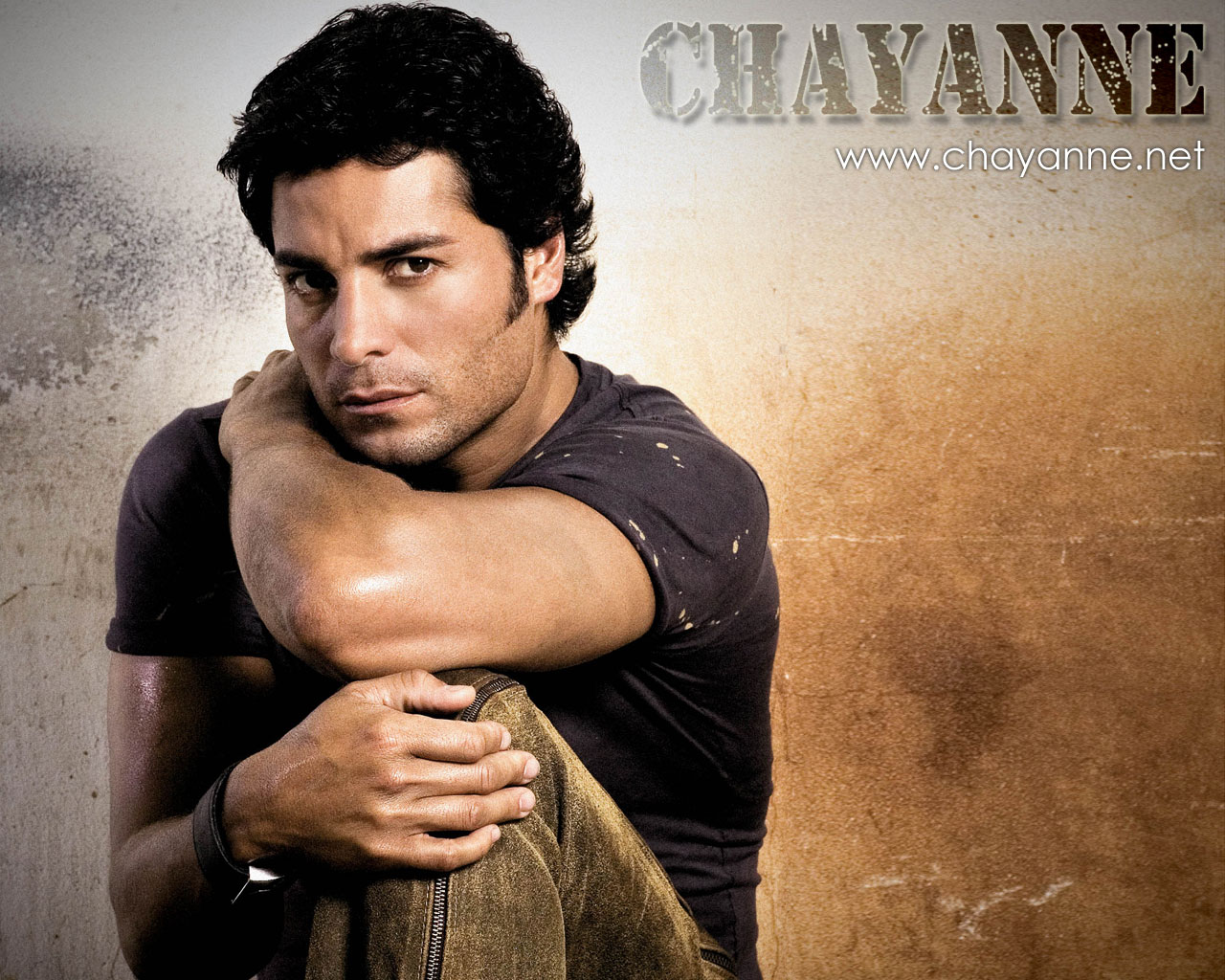 Download HQ Chayanne wallpaper / Celebrities Male / 1280x1024