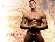 Download Dave Batista / Celebrities Male