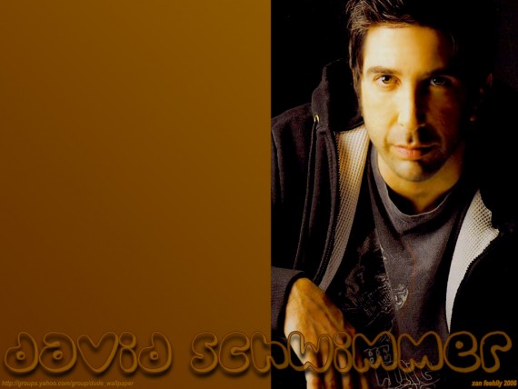 Free Send to Mobile Phone David Schwimmer Celebrities Male wallpaper num.2