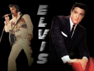 Elvis Presley / Celebrities Male