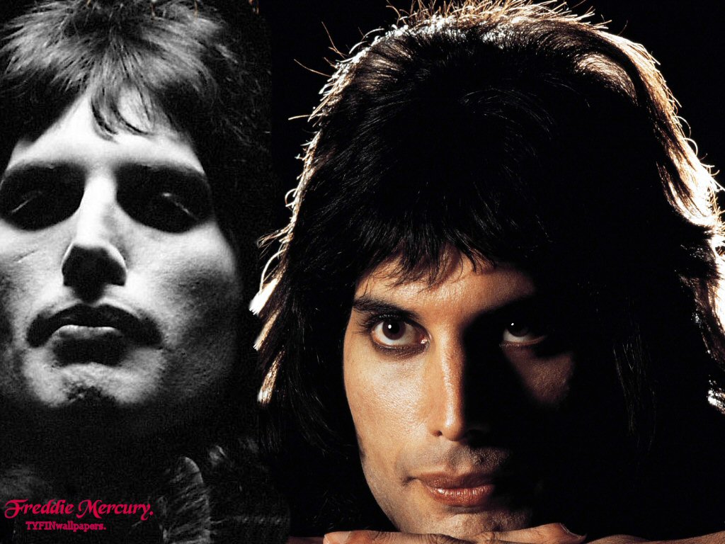 Full size Freddie Mercury wallpaper / Celebrities Male / 1024x768