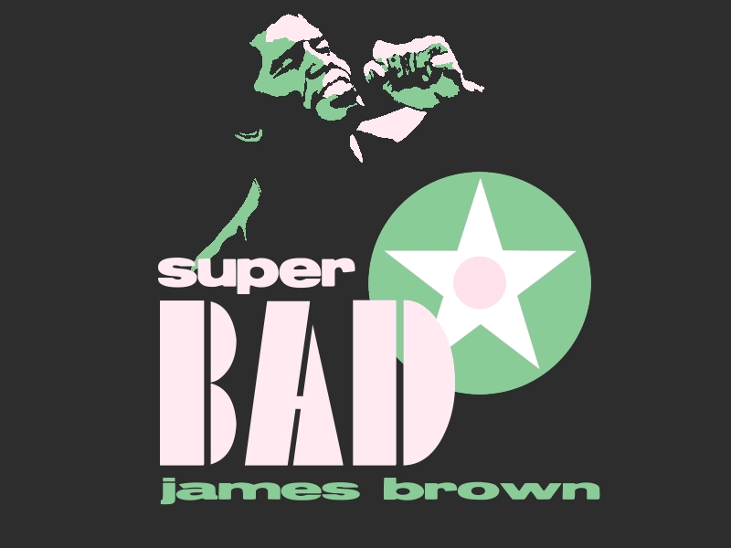 Download James Brown / Celebrities Male wallpaper / 800x600