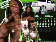Lil Wayne / Celebrities Male