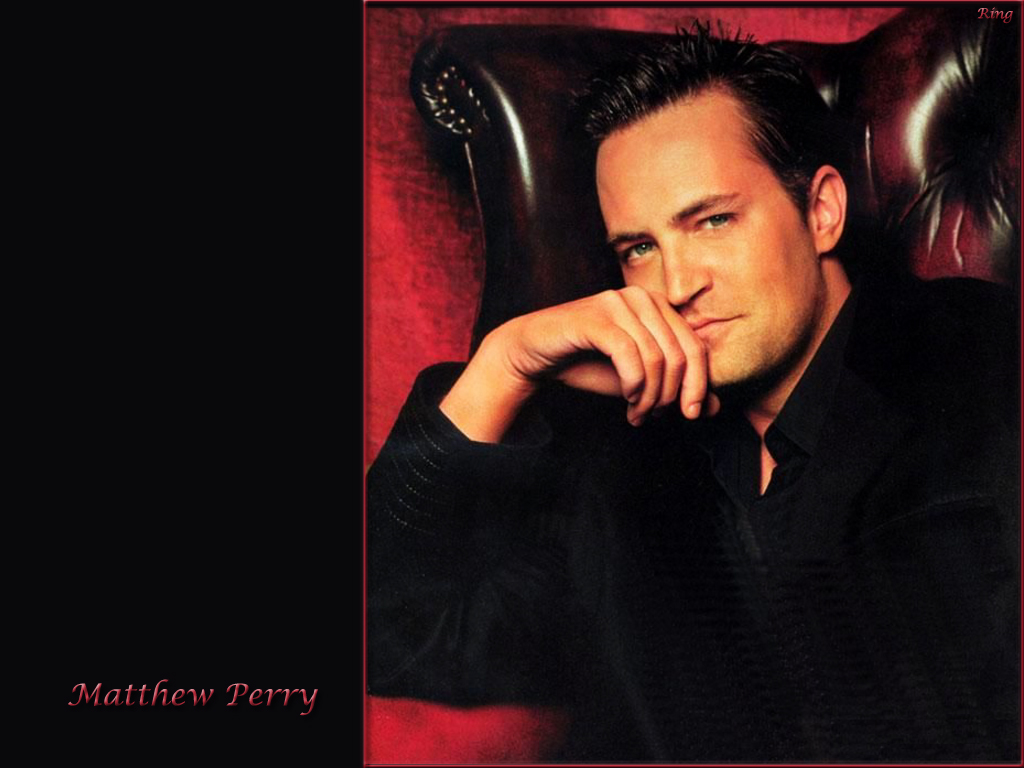 Download Matthew Perry / Celebrities Male wallpaper / 1024x768