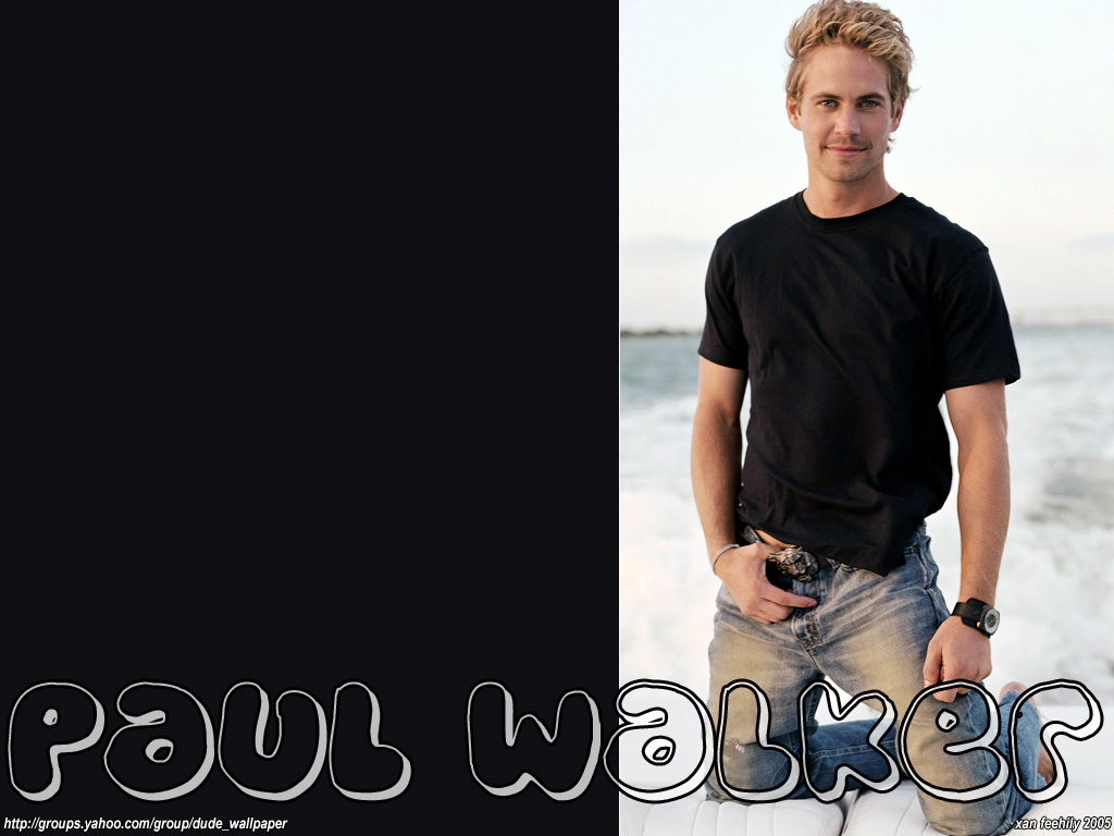 Download Paul Walker / Celebrities Male wallpaper / 1024x768