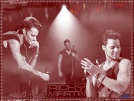 Ricky Martin / Celebrities Male