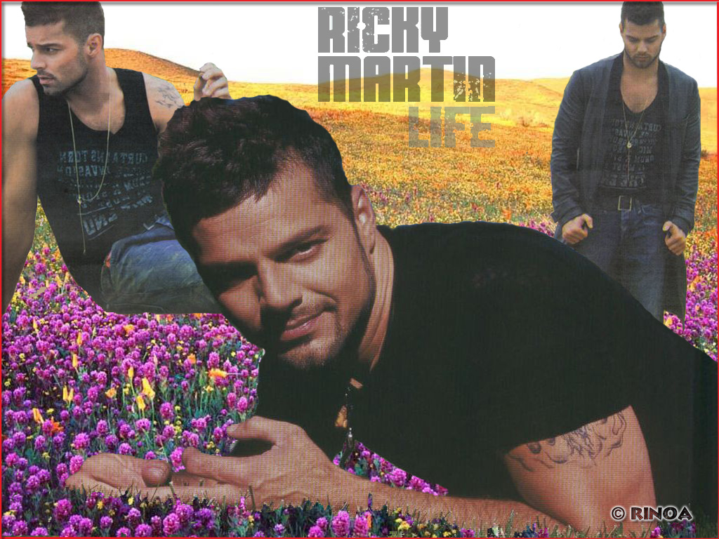 Download Ricky Martin / Celebrities Male wallpaper / 1024x768
