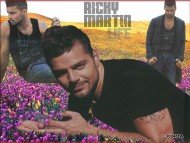Download Ricky Martin / Celebrities Male