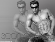 Download Sean Cassidy / Celebrities Male