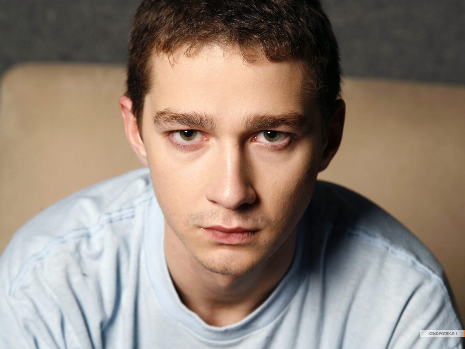 Download High quality Shia LaBeouf wallpaper / Celebrities Male / 1600x1200