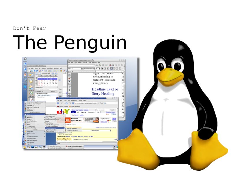 Download Linux / Computer wallpaper / 800x600