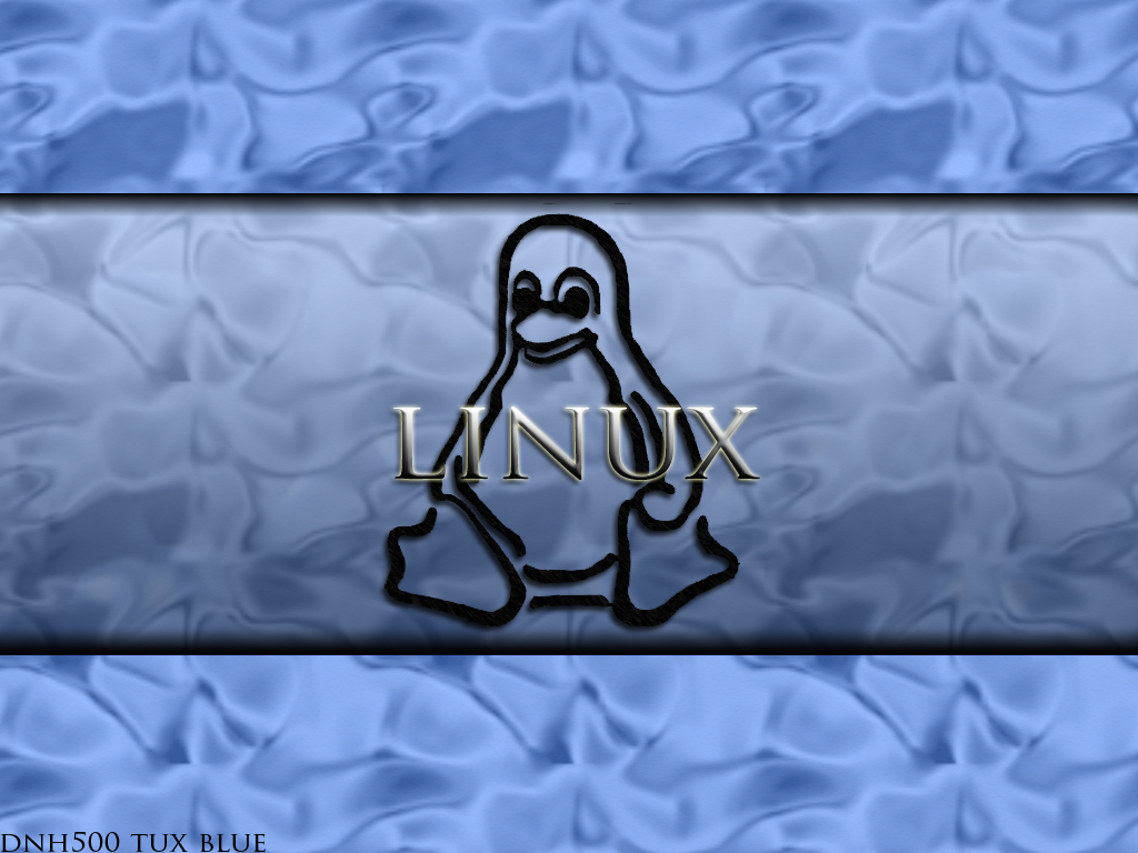 Download Linux / Computer wallpaper / 1024x768