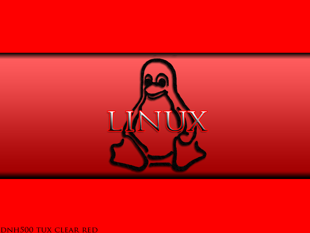 Full size Linux wallpaper / Computer / 1024x768
